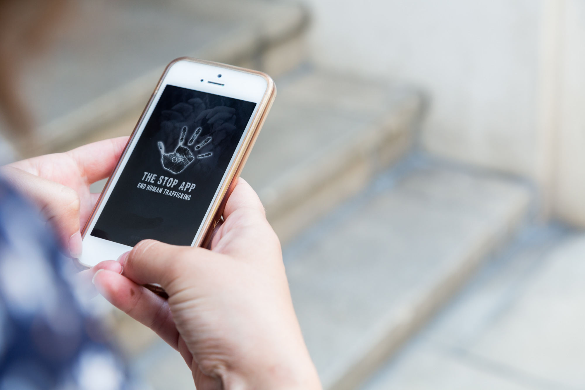 Report Text: Pengertian, Struktur, Tujuan & Contohnya